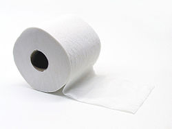 250px-Toiletpapier_(Gobran111)